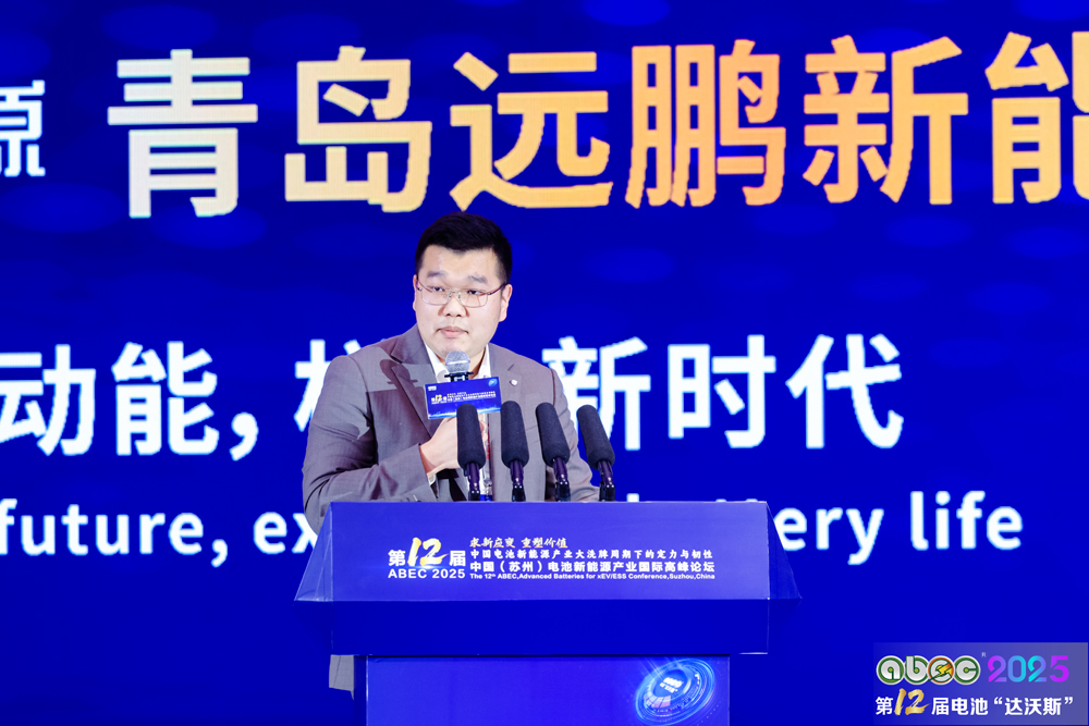惠州亿纬锂能股份有限公司战略研究部总监张帆