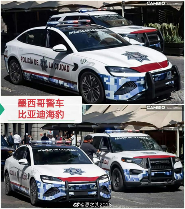 比亚迪喜提“国际编制” 海外公务车市场刮起中国风 比亚迪喜提“国际编制” 海外公务车市场刮起中国风