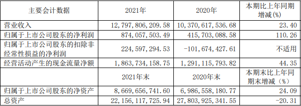 东阳光2021年主要会计数据（单位：元）