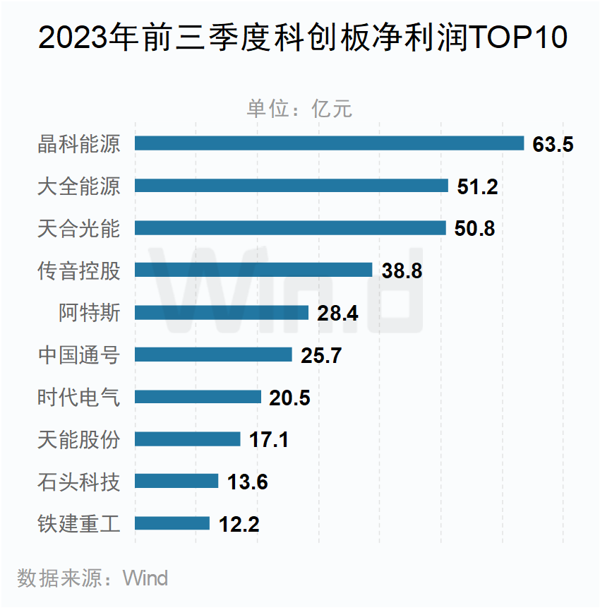 2023年前三季度科创板净利润TOP10