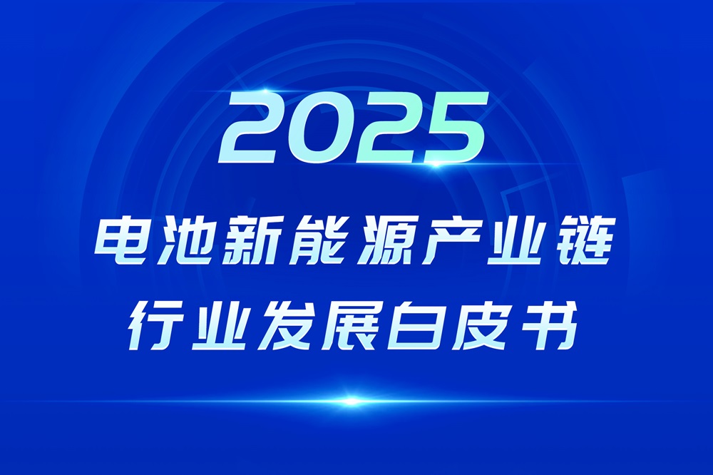 2025年度电池新能源产业链系列行业发展白皮书