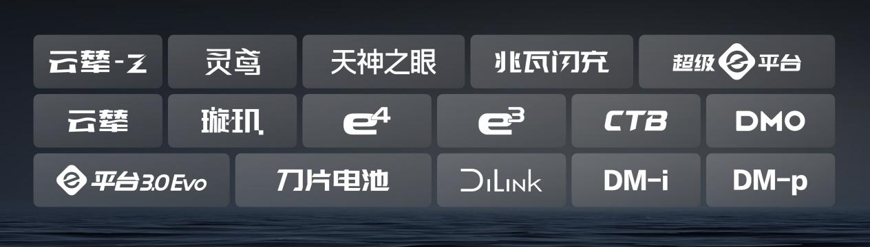 比亚迪30.55%复购率一骑绝尘 揭秘存量市场增长密码